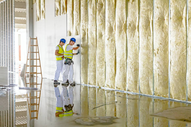 Best Insulation Replacement  in Lewisburg, OH